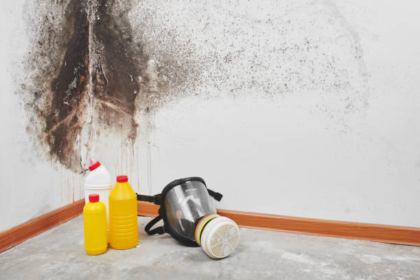 Best Emergency Mold Removal  in Liberty, MO