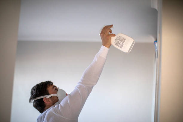 Home Mold Removal in Liberty, MO