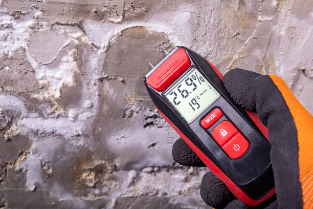 Best Mold Removal Process  in Liberty, MO