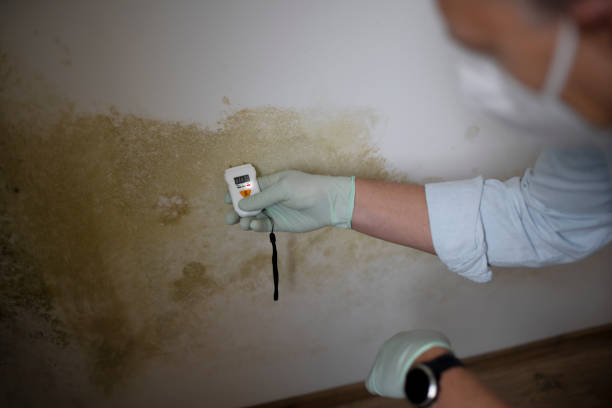 Best Mold Cleaning Services  in Liberty, MO