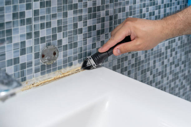 Best Office Mold Removal Services  in Liberty, MO