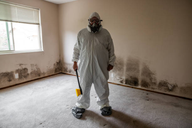 Best Certified Mold Removal  in Liberty, MO